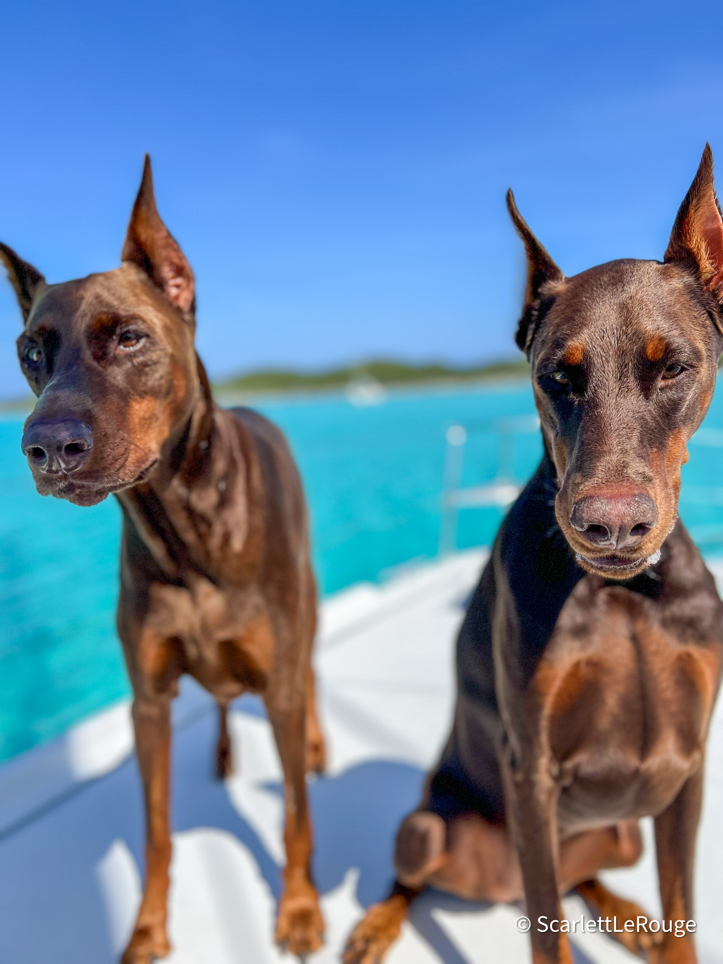 Rouxbe and crewmate posing on the deck above clear aqua water